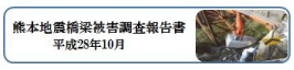 熊本地震橋梁被害調査報告書