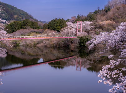 4月写真