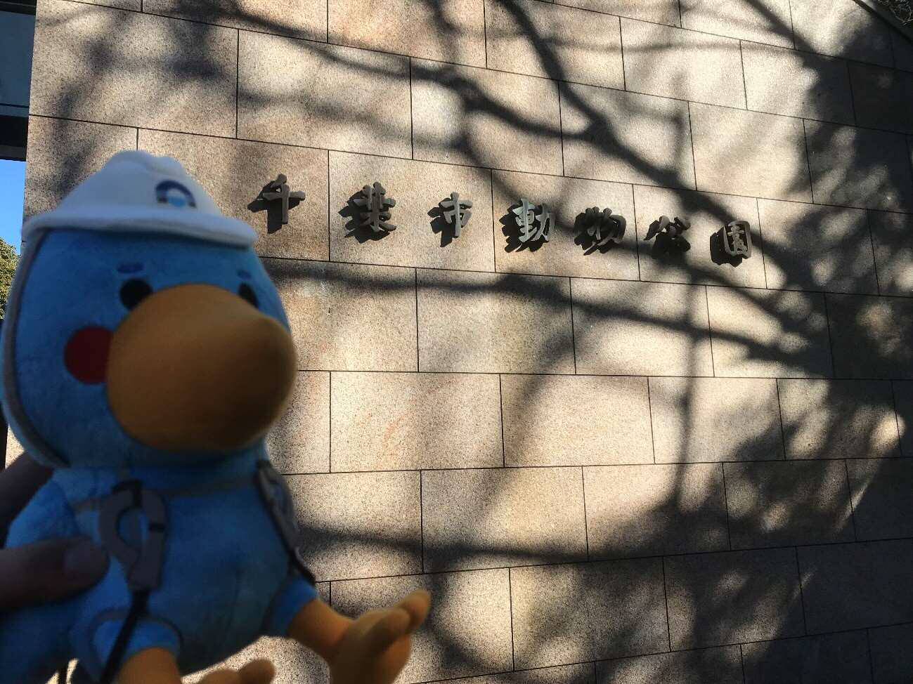 1 月12 日 千葉市動物公園にてハシビロコウに会ってきました 一般社団法人 日本橋梁建設協会